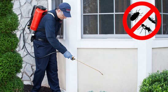 Evren Bit İlaçlama böcek ilaçlama ve haşere kontrolü — ilaclama-tr.com